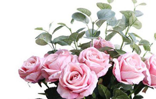 839-.上升星座在線查