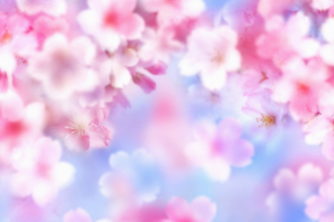 羊和牛相克還是相沖 羊和牛相沖怎么化解