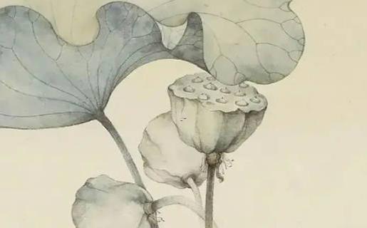 17342-.嚴好聽的名字 17342-.嚴好聽的名字