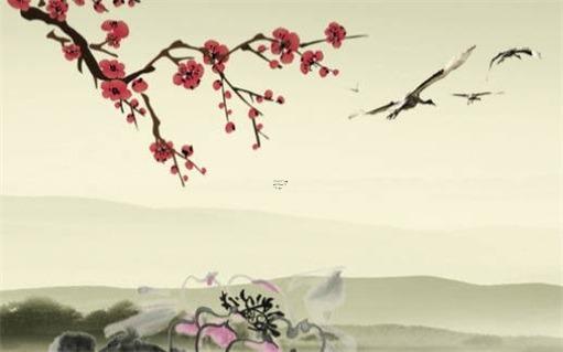 80猴2022有一劫難 80年屬猴人2022年如何化災(zāi)