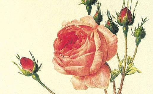 16577-.好聽的部隊名字 16577-.好聽的部隊名字