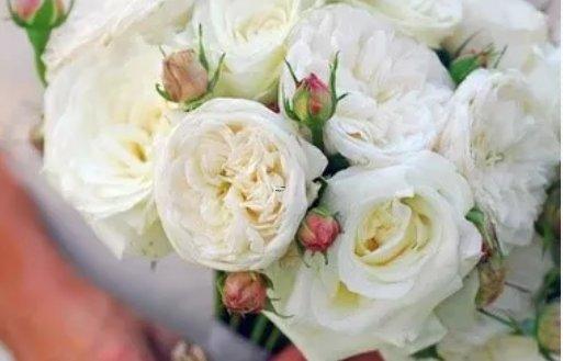 4077-.那個星座男好老公排行榜 4077-.那個星座男好老公排行榜