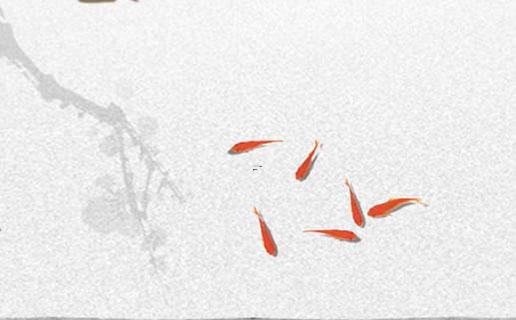 15682-.好聽的面店名字 15682-.好聽的面店名字