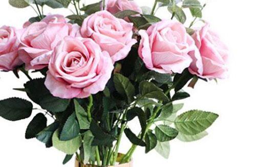 7355-.哪個星座男眼光高 7355-.哪個星座男眼光高