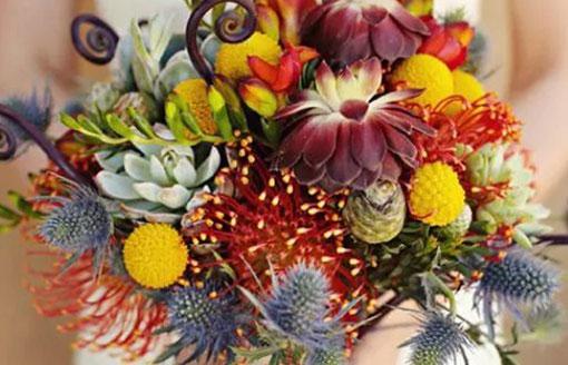 7193-.十二星座公主學院