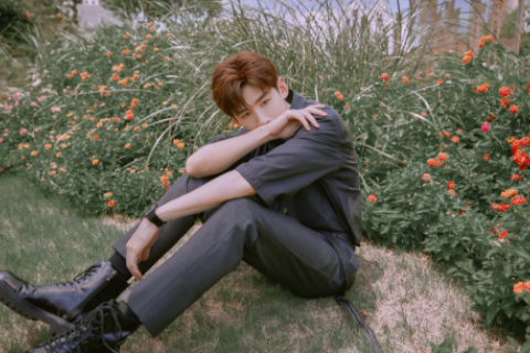 屬狗和屬蛇的適合做夫妻嗎 屬狗和屬蛇的合作事業好嗎