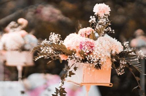 406-.太陽和上升星座呈120度 406-.太陽和上升星座呈120度