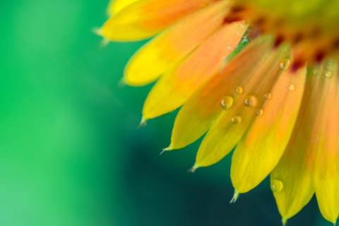 76屬龍什么顏色最吉利 76屬龍女一生有幾次婚姻狀況