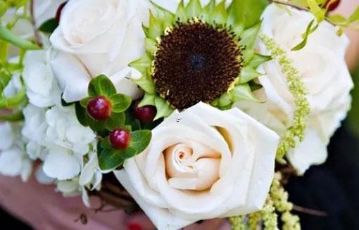 675-.同道2017星座展 675-.同道2017星座展