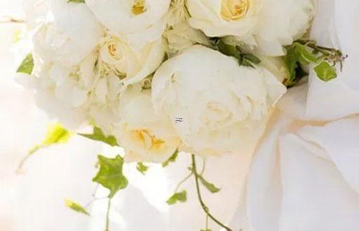 8384-.床是他的命，十二星座賴床大王是誰？