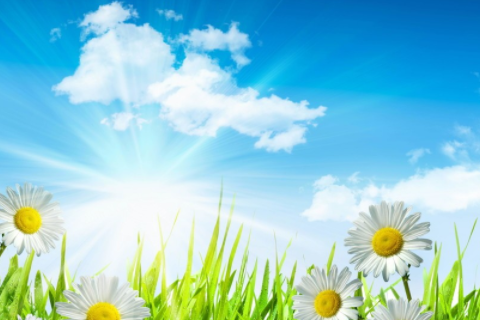 夢見扎頭發老是扎不好什么意思 夢見扎頭發的皮筋斷了什么意思