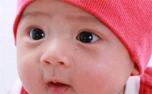 15449-.虎年男寶寶生辰八字取名