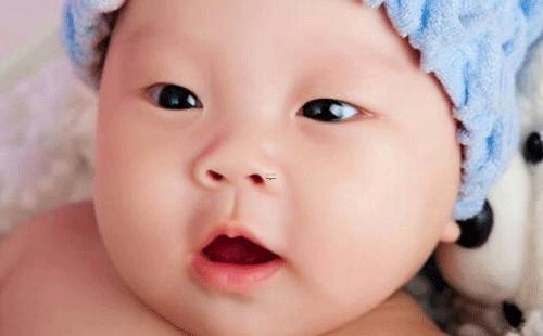 15816-.2022年男女寶寶名字大全 15816-.2022年男女寶寶名字大全