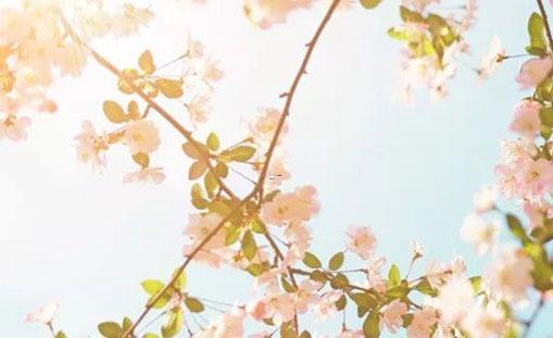 14888-.好聽的名字大全集 14888-.好聽的名字大全集