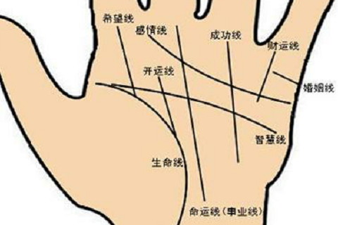 無名指比食指長(zhǎng)女人好不好?無名指比食指長(zhǎng)女人的性格