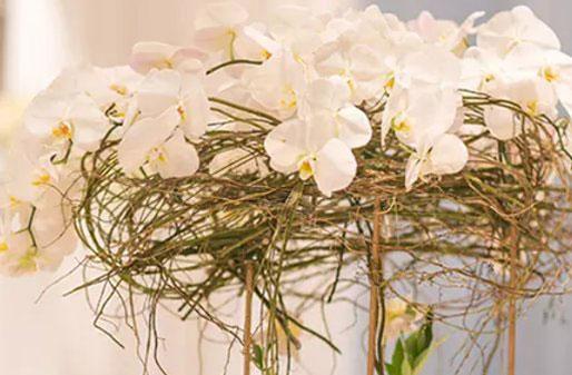 2893-.每月29日出生的女性性格分析，29號女郎性格全面分析