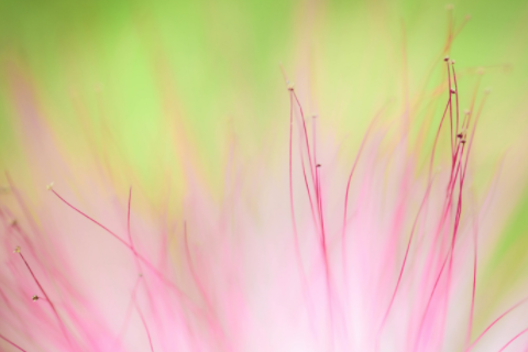 92年屬猴2023年的運勢 92年屬猴二次婚姻在幾歲