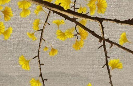 93年屬雞水瓶女2022年運(yùn)勢(shì) 93年屬雞水瓶女2022年運(yùn)勢(shì)