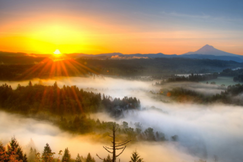 狗和龍屬相合不合 狗和龍怎樣才能不相沖