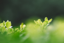 女裝店名字簡(jiǎn)潔大氣招財(cái) 女裝店名好聽(tīng)又旺財(cái)