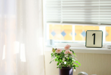 半夜門口有貓叫是吉還是兇 貓半夜叫必須注意什么