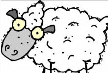 屬羊年齡對照表2022年?屬羊年齡運勢解析