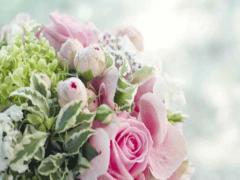 上升星座 天蝎座360百科