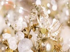 當(dāng)老師一定會(huì)誤人子弟的星座