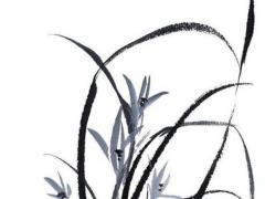 1986年屬虎女一生運勢