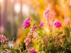 周公解夢夢見鬼上身