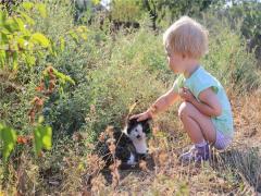 手相地丘上豎紋圖解