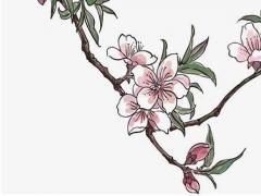 好聽的慕容名字大全