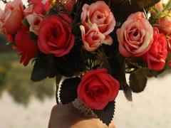 吹啊吹啊,驕傲放縱都吹不走的星座