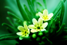 夢(mèng)見(jiàn)還錢(qián)給我是什么意思 夢(mèng)見(jiàn)還錢(qián)給銀行是什么意思