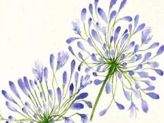 虎年起名字宜帶什么字男孩