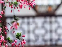 好聽(tīng)的組詞名字