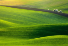 狗和龍屬相合不合 狗和龍怎樣才能不相沖