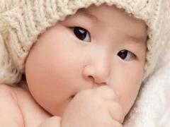 好聽的菜地名字