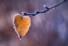 乙亥日柱女命婚姻?乙亥日柱女命怎么樣