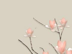 蛇在虎年2022年的運勢如何