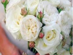 那個星座男好老公排行榜