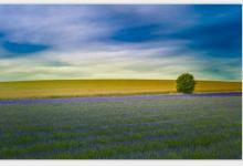 甲申日柱女命運?甲申日柱女命配偶