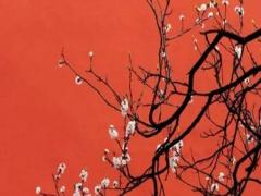 好聽的診所名字