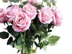 哪個(gè)星座男眼光高