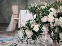 揭秘:雙魚(yú)座外表下藏了什么