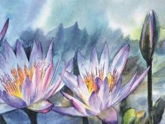 女寶寶好聽的英文名字