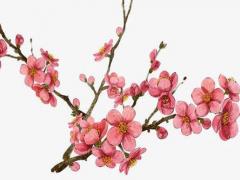 薛姓女孩好聽的名字2019