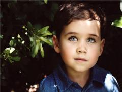 夢見癩蛤蟆和蛇是什么意思