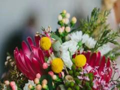 時尚星座 戶口哪個區