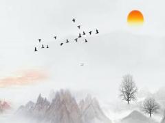 姓楊最好聽的女孩名字